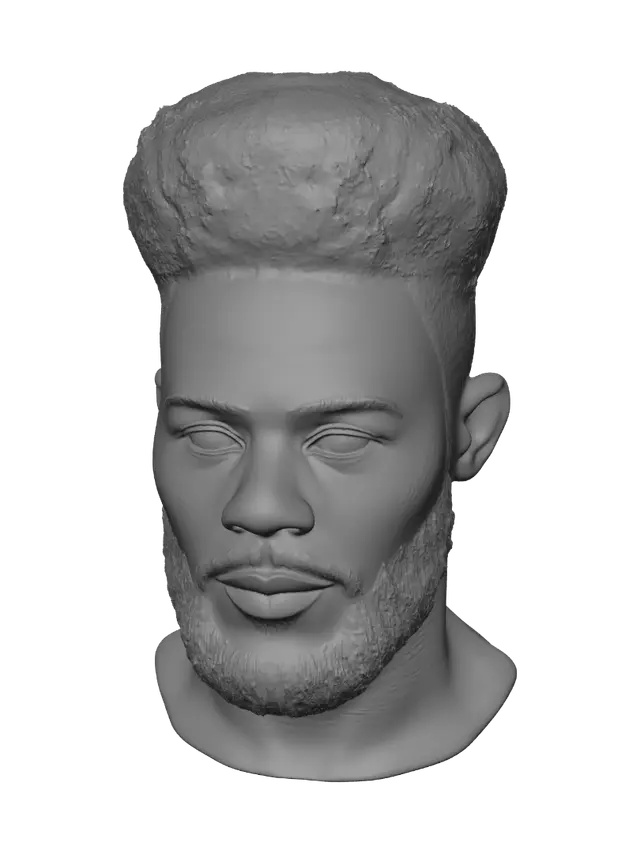 3D model for Bearded Afro Portrait