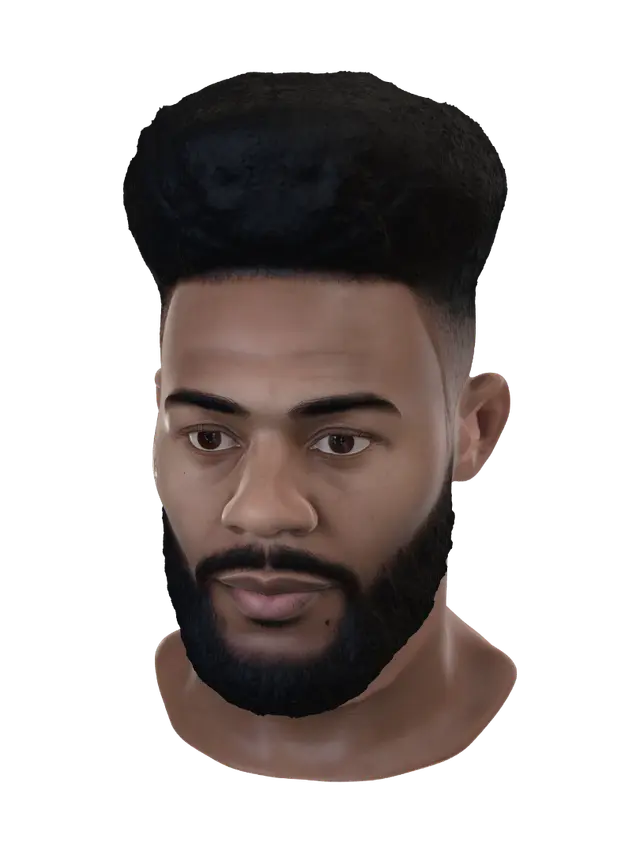 3D model for Bearded Afro Portrait