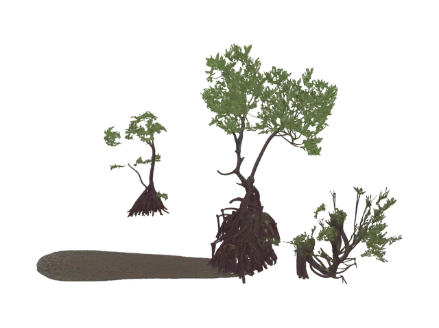 3D model for Sunset Roots