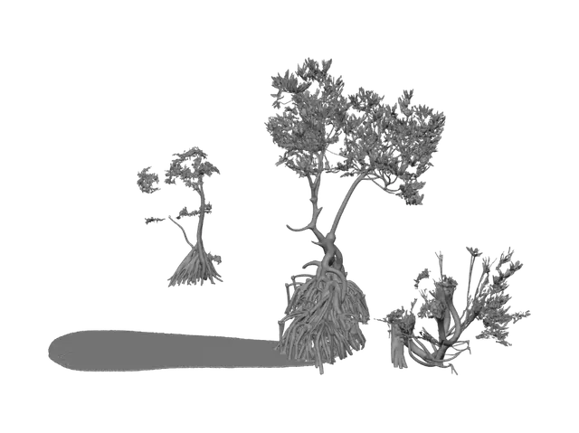 3D model for Sunset Roots