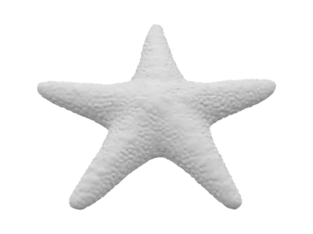3D model for #ocean#,  A symmetrical, five-pointed star-shaped marine Starfish. Its upper surface is covered with a rough, granular, or finely spiny texture, and feels hard and slightly abrasive. Five stout arms extend evenly outward from a central disk-shaped body, and the edges of the arms may be rounded or slightly pointed. The overall structure is solid, with rich surface details and may have tiny tube feet attached to the base.