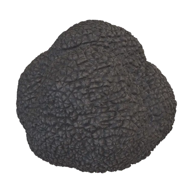 truffle - Darkbrown 3D model, vytvořený pomocí AI
