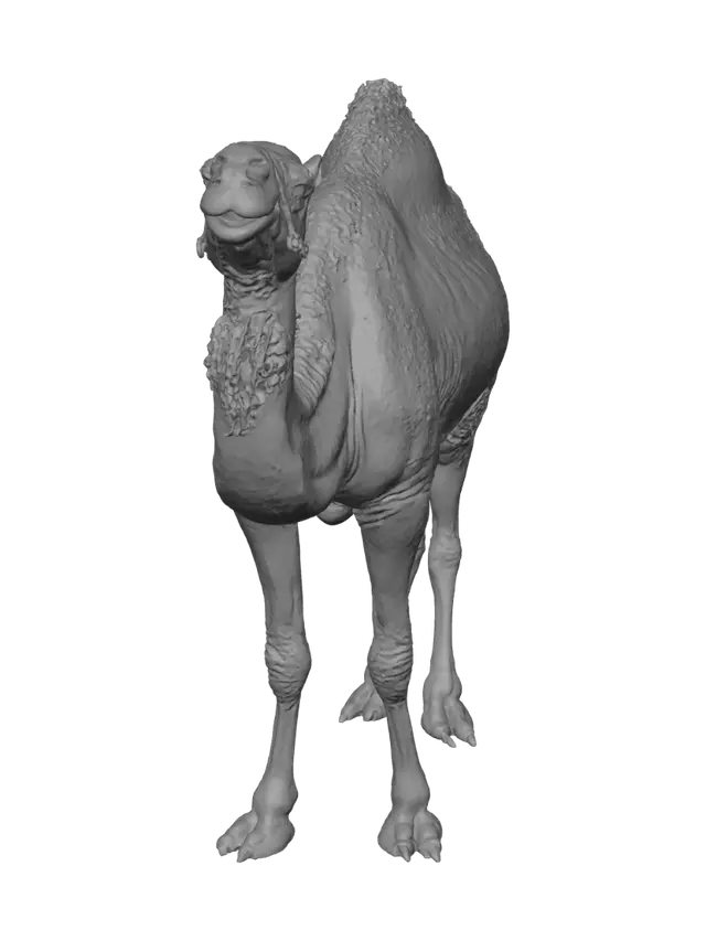 3D model for Desert Traveler