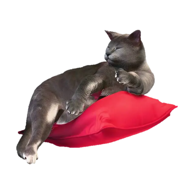 Sleeping Gray Cat on a Red Pillow - Cosy 3D model, vytvořený pomocí AI