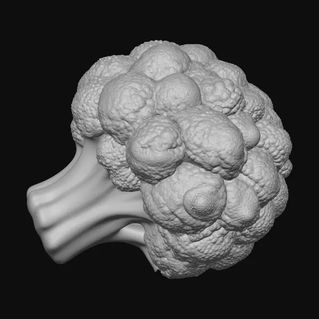 3D model for A highly detailed, realistic fresh broccoli head, organic vegetable, dense green florets with bumpy granular texture, thick light green fibrous stalk, raw and crisp, 8k high resolution, photorealistic, natural lighting, macro photography.
