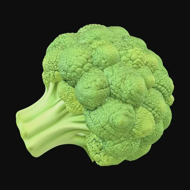 3D model for A highly detailed, realistic fresh broccoli head, organic vegetable, dense green florets with bumpy granular texture, thick light green fibrous stalk, raw and crisp, 8k high resolution, photorealistic, natural lighting, macro photography.