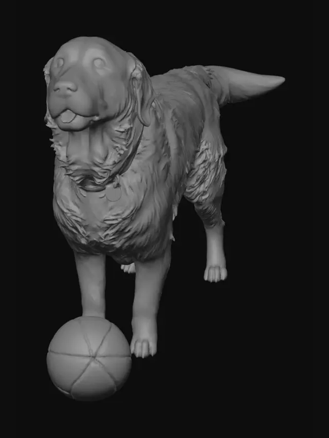 3D model for Sunny Golden with Rainbow Ball