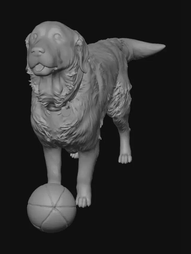 3D model for Sunny Golden with Rainbow Ball
