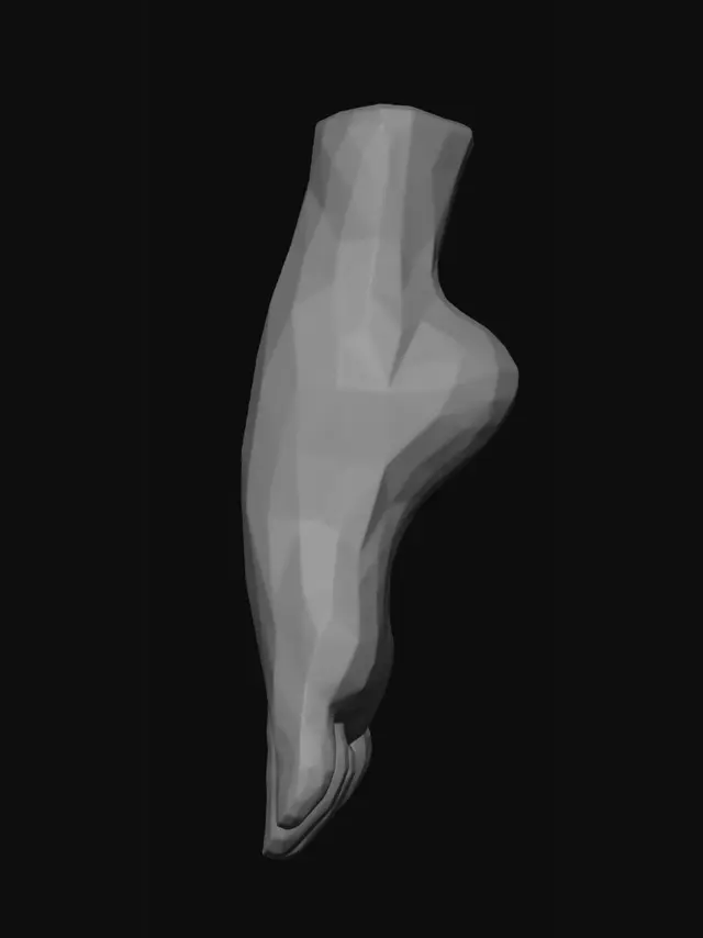 3D model for Prismatic Rainbow Leg