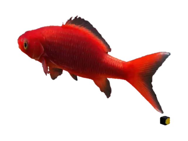 red small fish 3D model, vytvořený pomocí AI