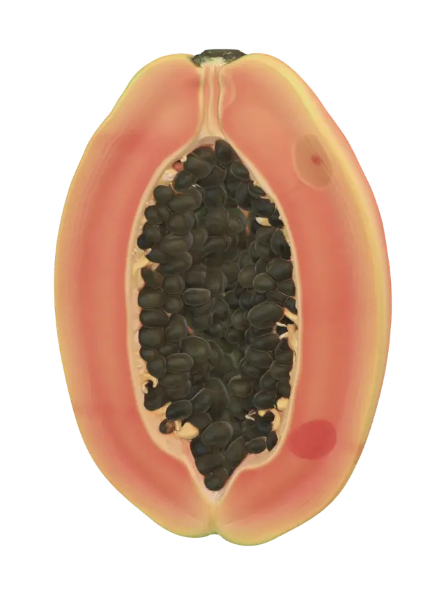3D model for Halved papaya with seeds