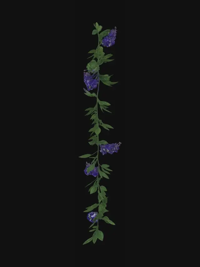 3D model for Blue Cascade Vine