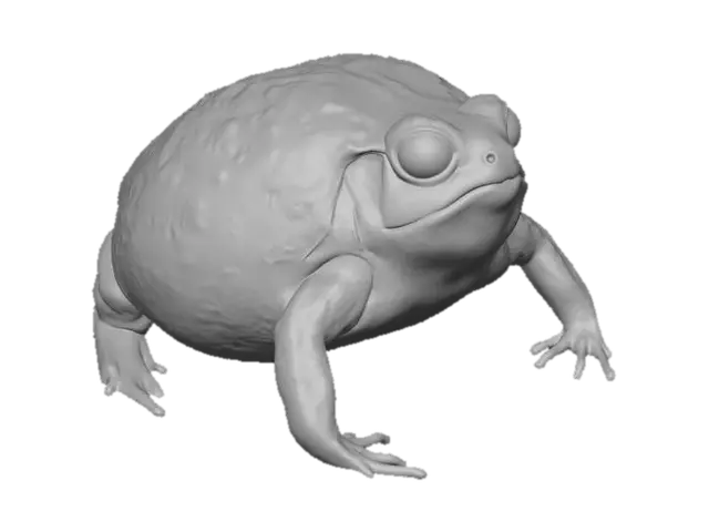 3D model for Warty brown toad