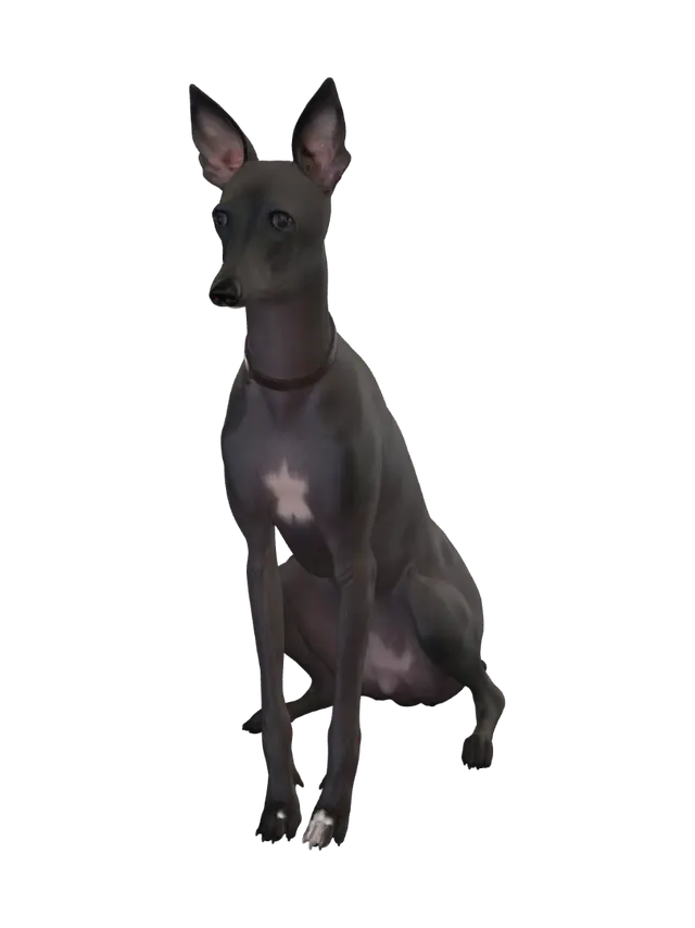 3D model for Eager Ears on the Bed
