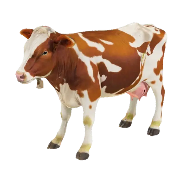Cow 3D model, vytvořený pomocí AI