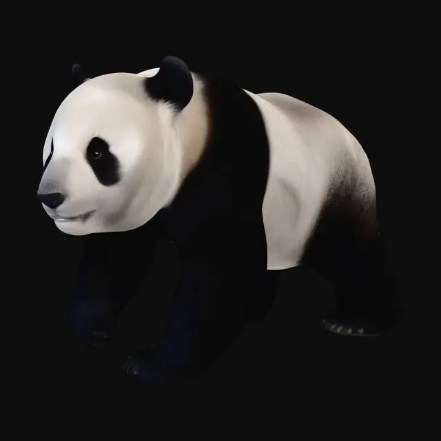 3D model for Panda Portrait
