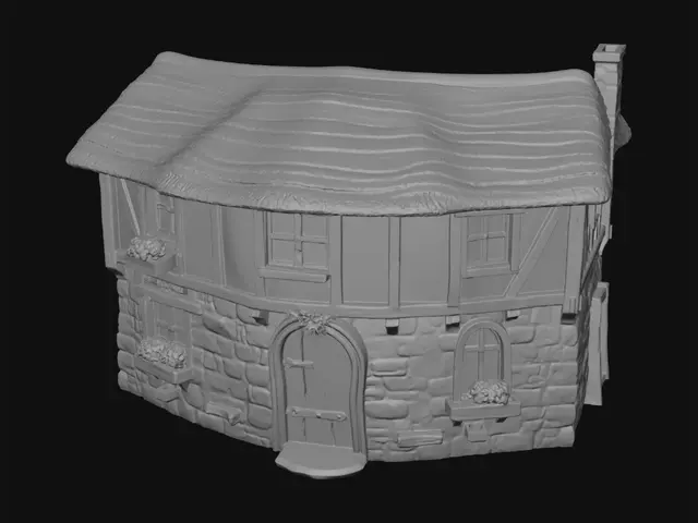 3D model for Medieval house
