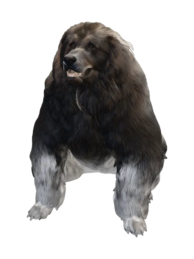 3D model for Fluffy Brown Bear
