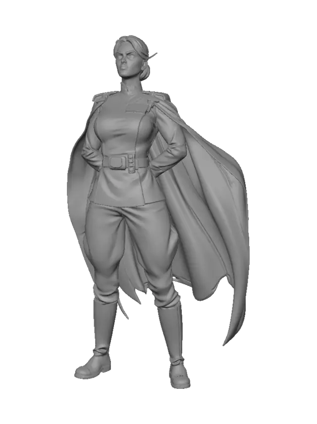 3D model for Captain of the White Fleet