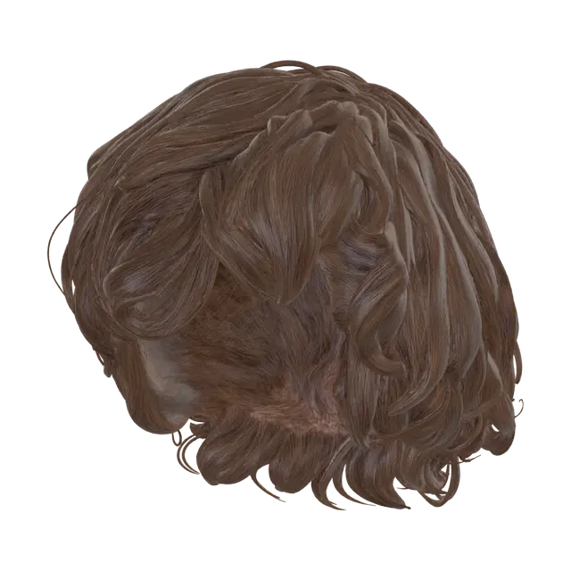3D model for Remove everything expect the hair.