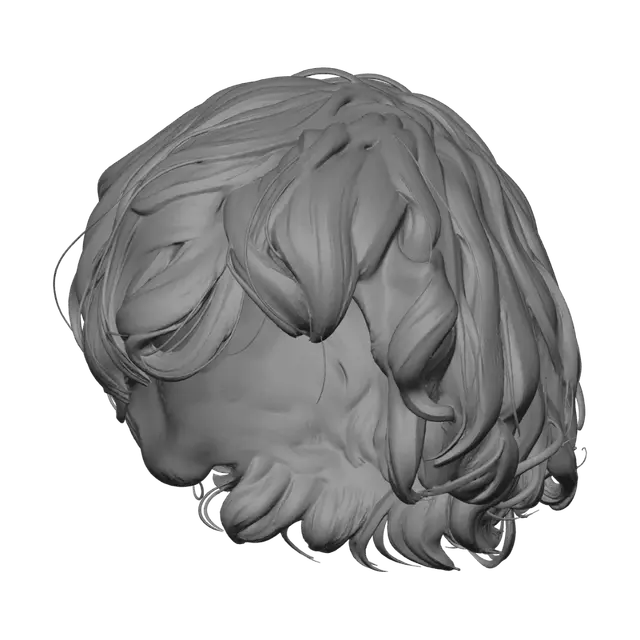 3D model for Remove everything expect the hair.