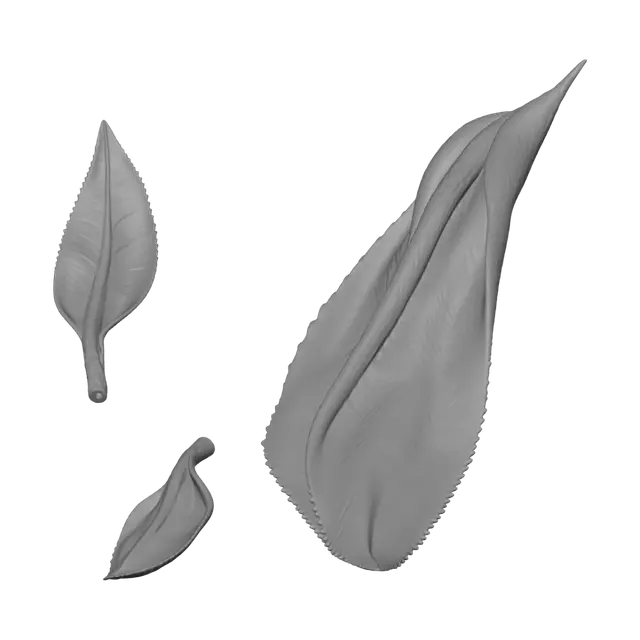3D model for Twin Tea Leaves