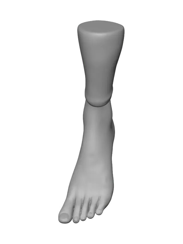 3D model for Purple Pedicure Portrait