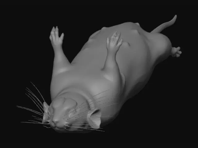 3D model for Floating White Rat