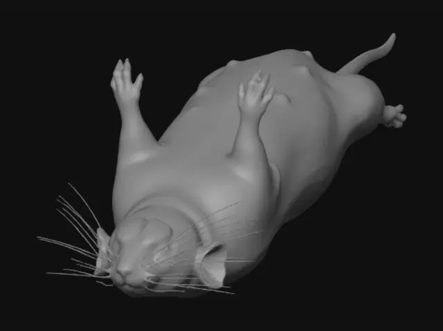 3D model for Floating White Rat