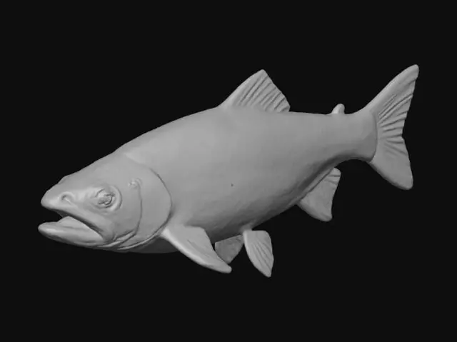 3D model for Ein forellenschwarm