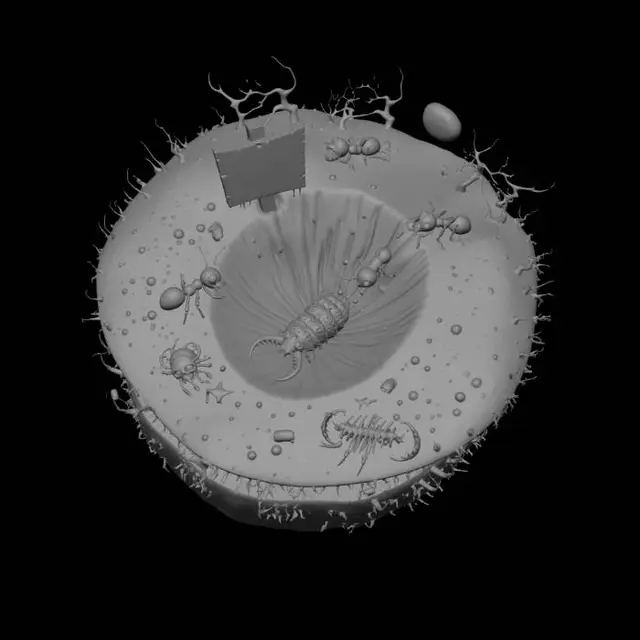 3D model for Enter at Your Own Risk