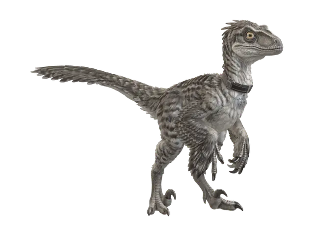 3D model for Raptor Scout