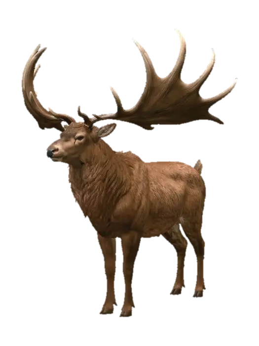 Megaloceros - Big 3D model, vytvořený pomocí AI