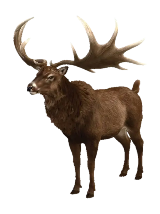 Megaloceros - Big 3D model, vytvořený pomocí AI