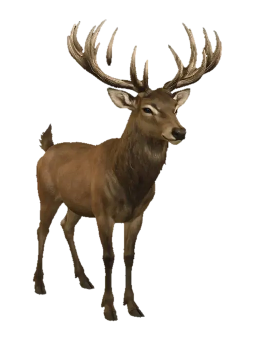 Stag 3D model, vytvořený pomocí AI