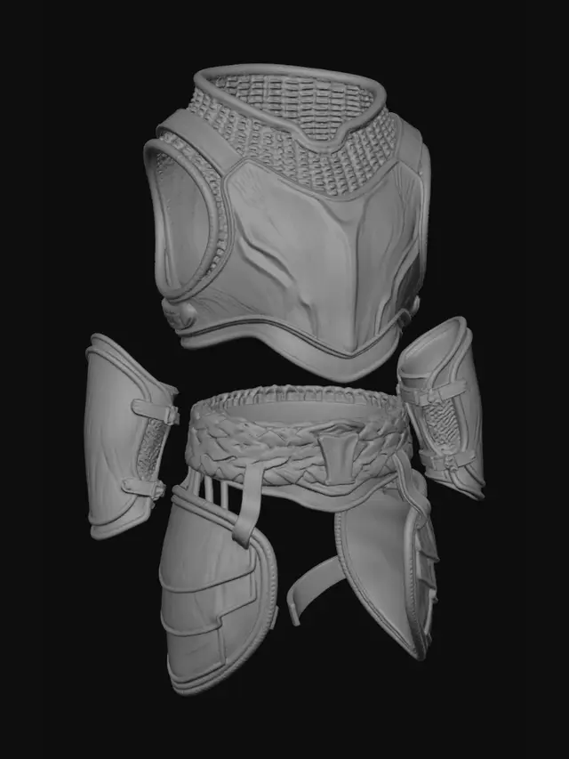3D model for Front View Leather Armor Set