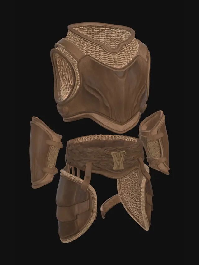 3D model for Front View Leather Armor Set