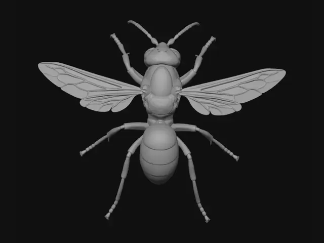3D model for Orange-Headed Hornet on a Hand