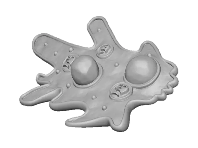 Free Amoeba 3D Models - Download Instantly | Meshy