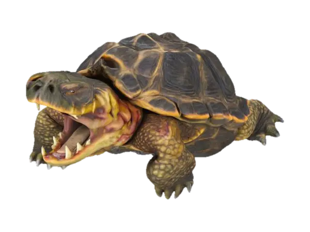 3D model for Snapping turtle , prehistoric, detailed open mouth, scary , sculpt