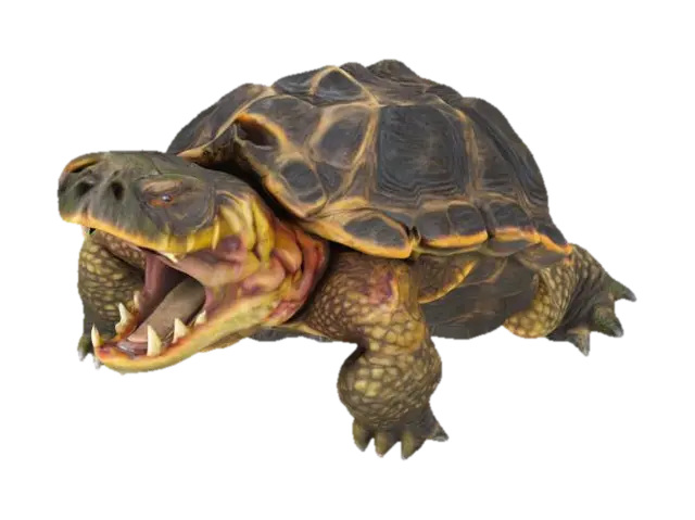 3D model for Snapping turtle , prehistoric, detailed open mouth, scary , sculpt