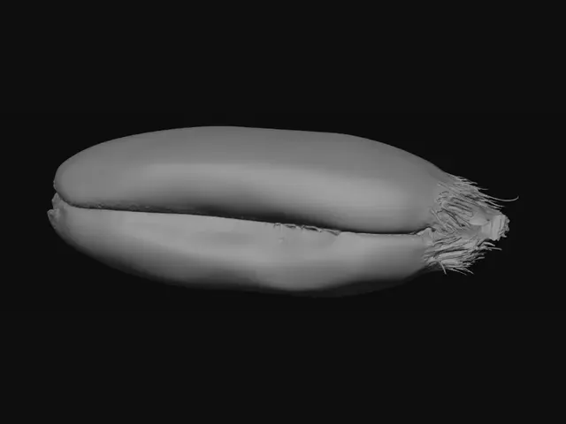 3D model for Golden Bread Roll Close-Up