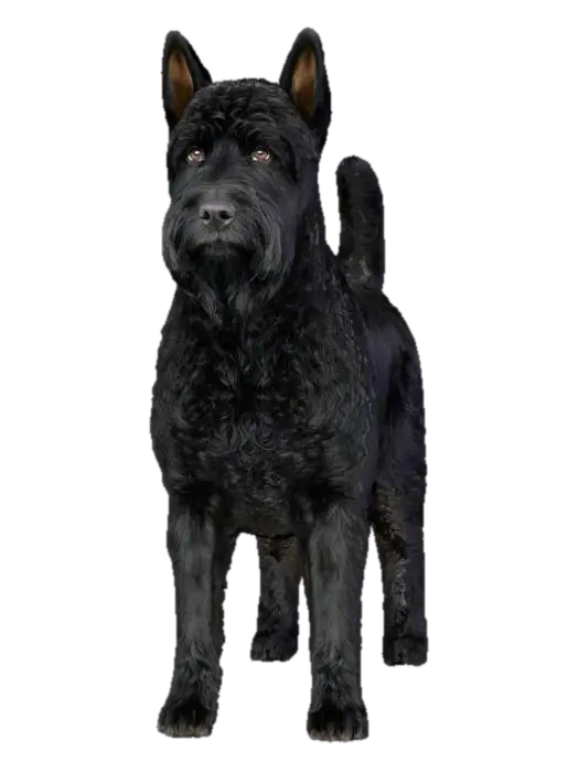 Terrier Stance 3D model, vytvořený pomocí AI