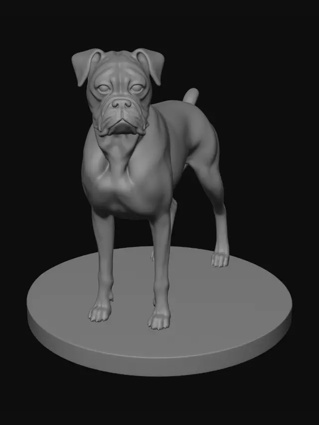 3D model for Elena