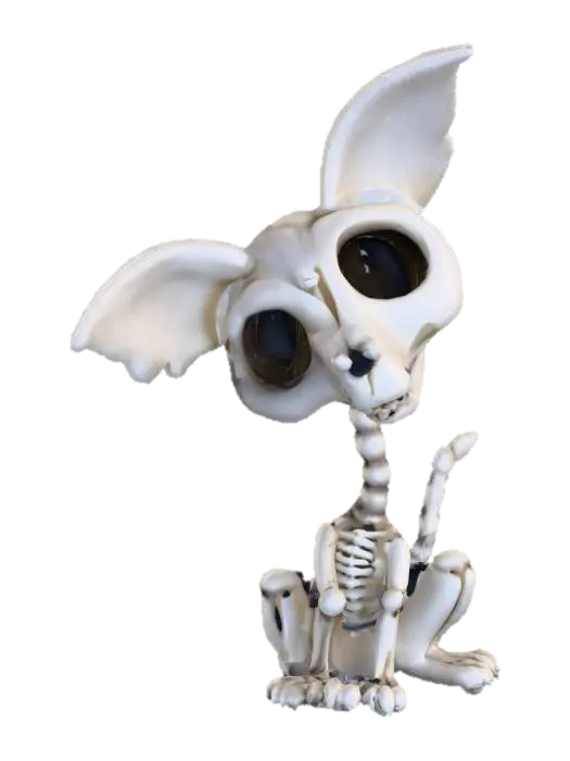 3D model for Skeleton Critter