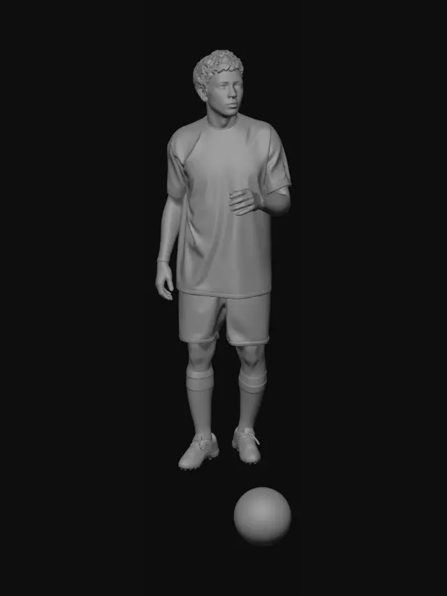 3D model for Striped Stance on the Pitch