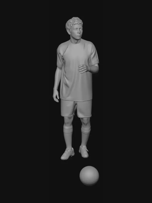 3D model for Striped Stance on the Pitch