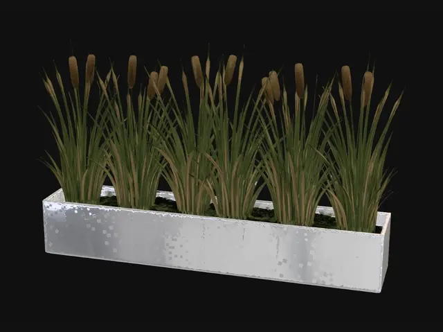 3D model for Cattail Planter