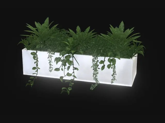 3D model for Emerald Cascade in a Rectangular Planter