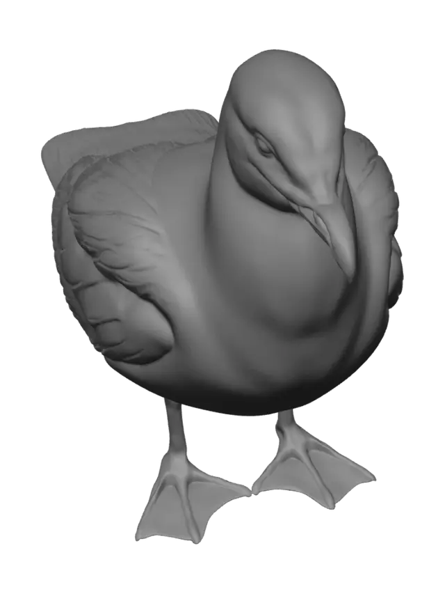 3D model for Midnight Gull